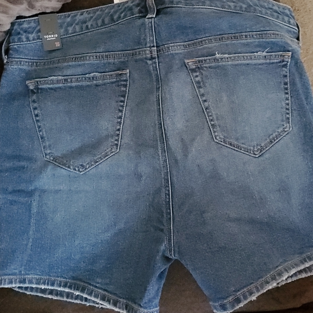 Women's Torrid Shorts